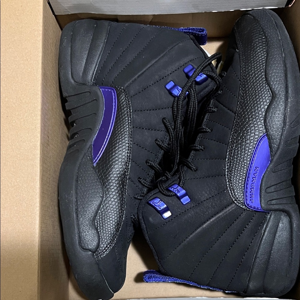 Air jordan 12 Retro “Black Concord”